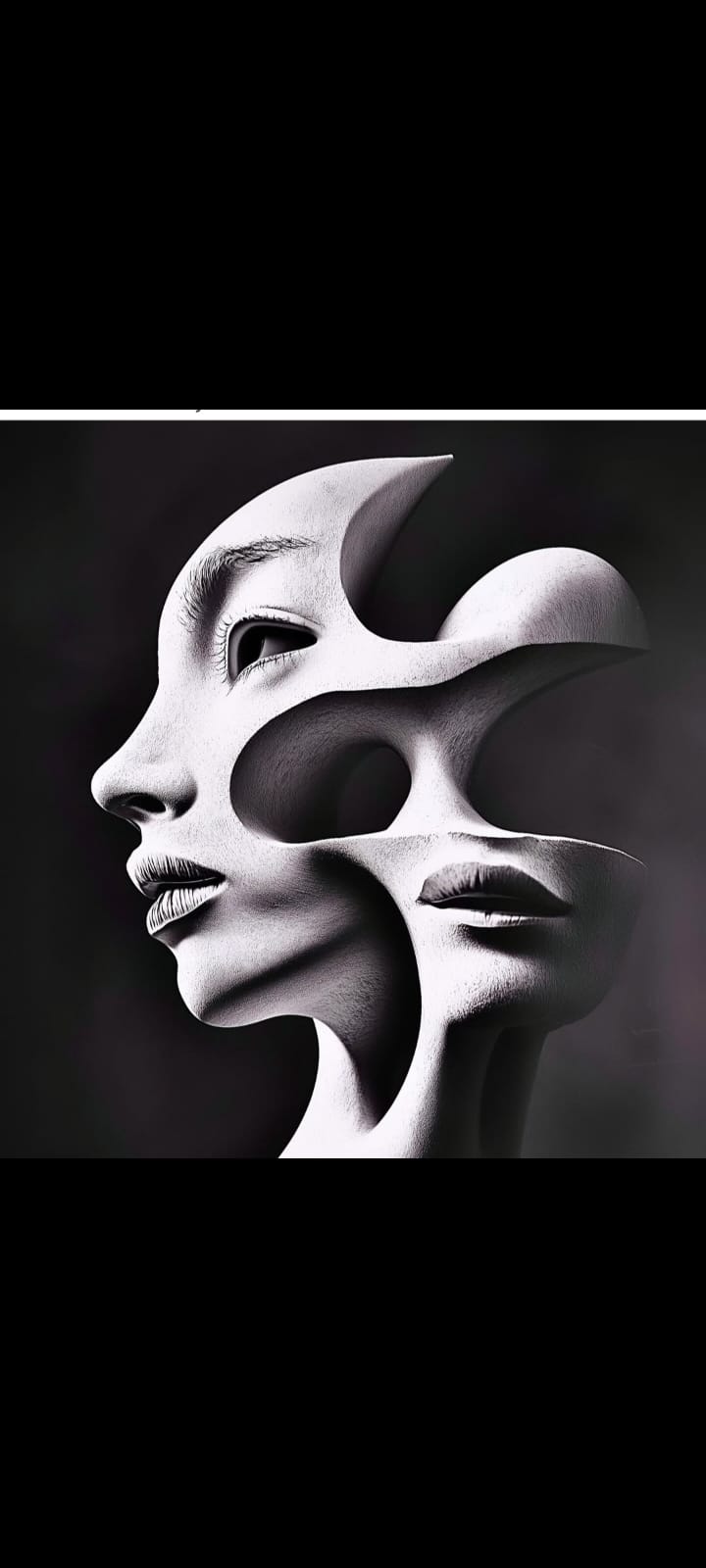 Fragmented Faces